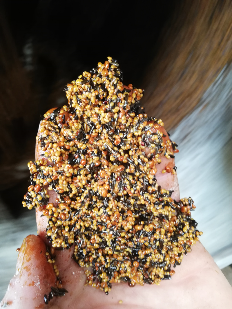 Pellet 4 - petites graines